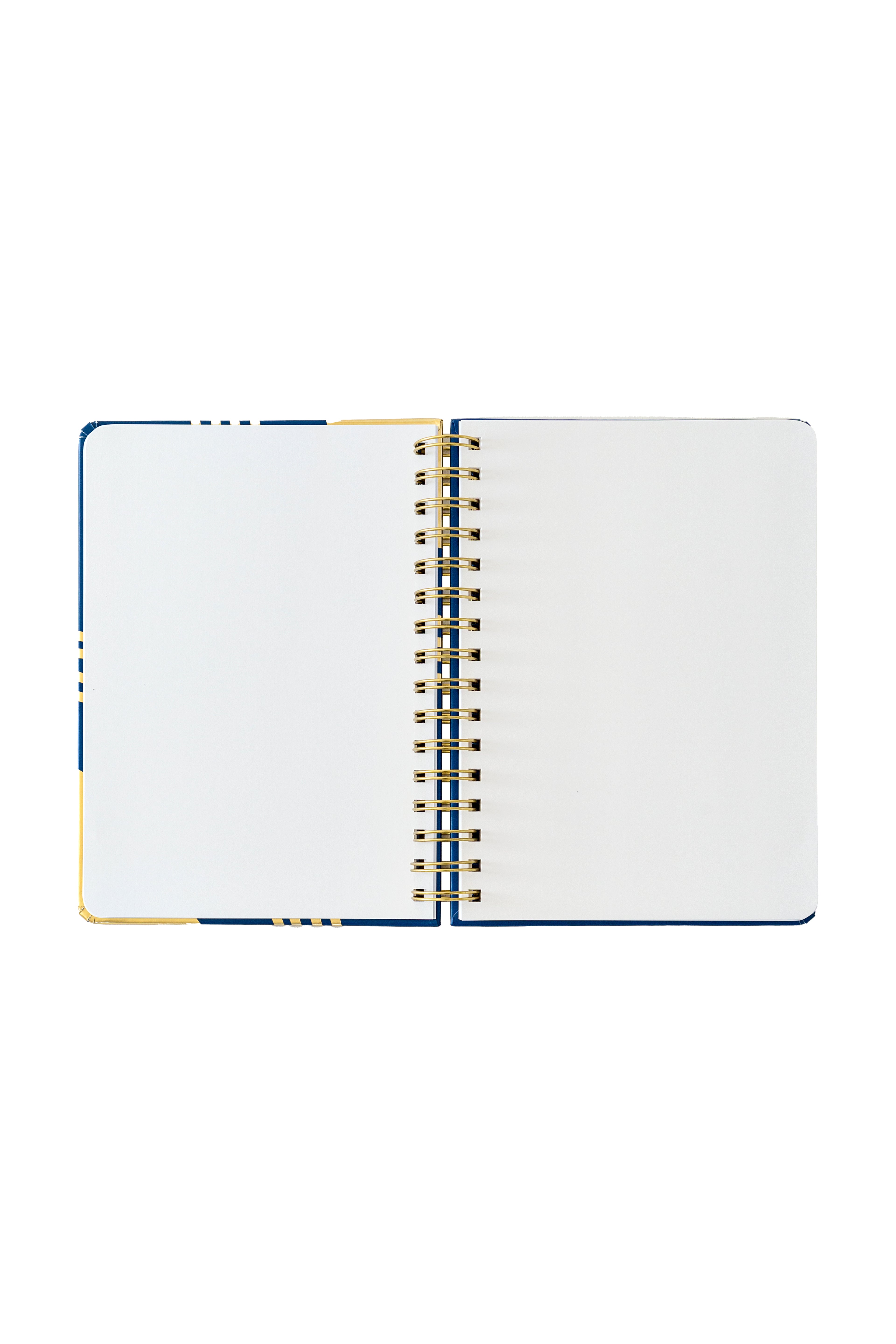 Shaping Freedom Hardcover Journal (Blue & Gold, Wire Bound)